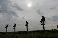 Nejlepší sportovec století